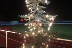 Fussball_Weihnachtsmarkt-1