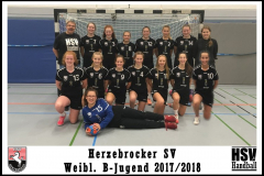 Mannschaftsbild-weibl.-B-Jugend