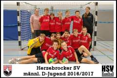 mD-Jugend_2016