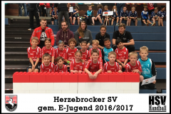 1_E-Jugend_2016