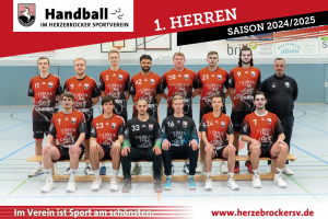 Handball Herren