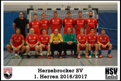 Herren_2016-2017