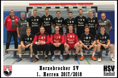 Mannschaftsbild-Herren-1