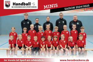 Handball Minis