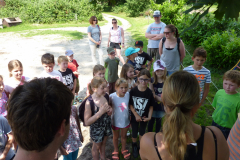 Bild-1