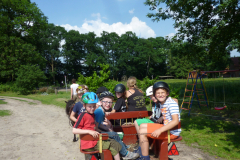 Bild-2