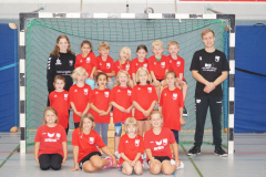 Minis_2020-2021