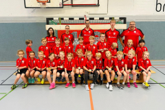 Minis_2025-2026-2