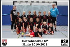 Minnis-2016