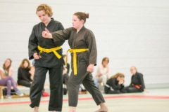 11204-300x199-1