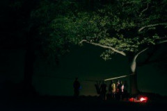 12050-300x200-1