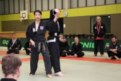 26024100_1760795423972226_5692332306278460974_o-300x222-1