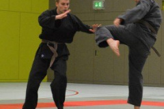 72fc40e1db-283x300-1