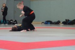 DSC02714-e1539616186562-300x181