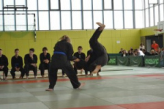 DSC_0012-300x200-1