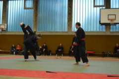 DSC_0322_scale-300x200-1