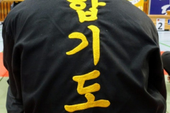 Hapkido
