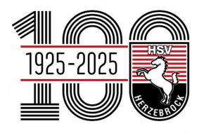 HSV 100