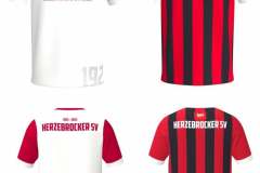 FUssball-Jubilaeumstrikots