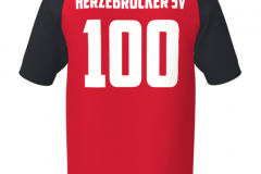 Trikot-Wettbewerb-2025